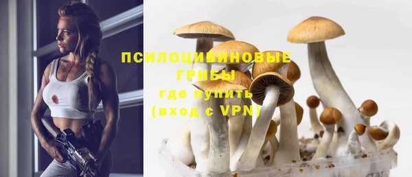 spice Алексеевка