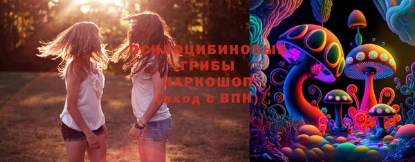 spice Алексеевка